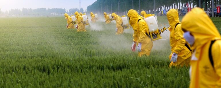6 mitos e verdades sobre o uso de pesticidas