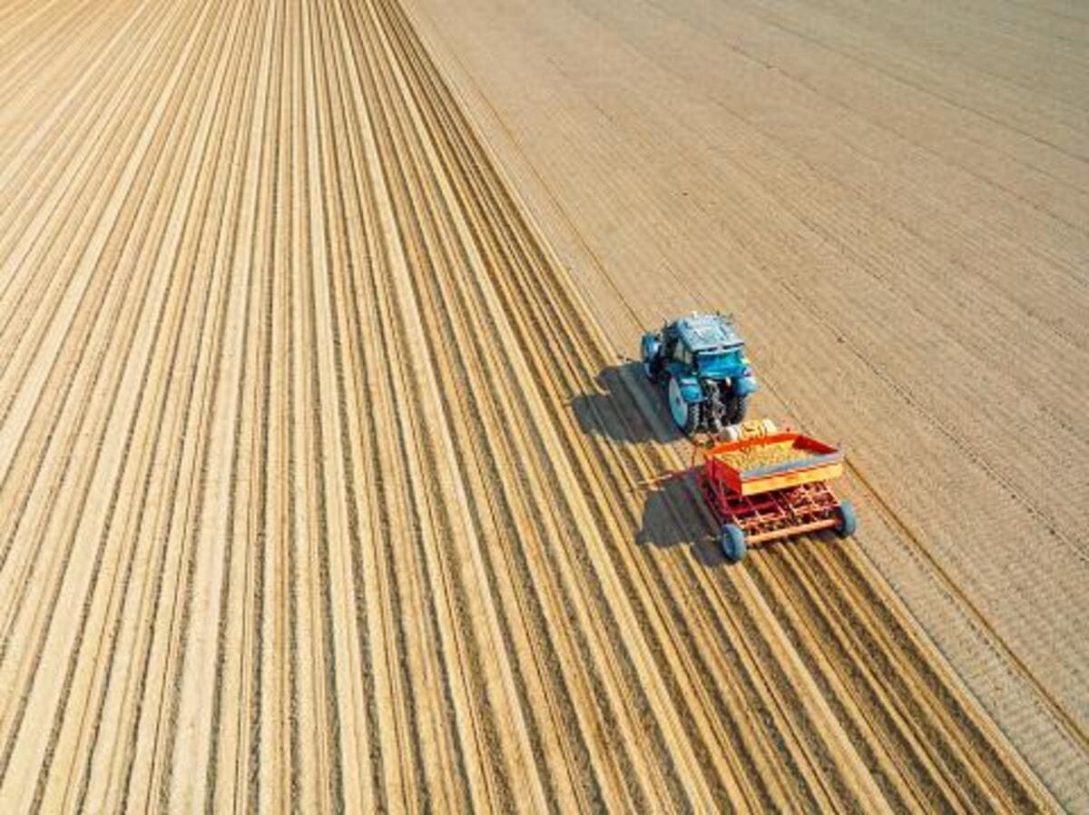 Conheça os principais sistemas de preparação do solo para plantio