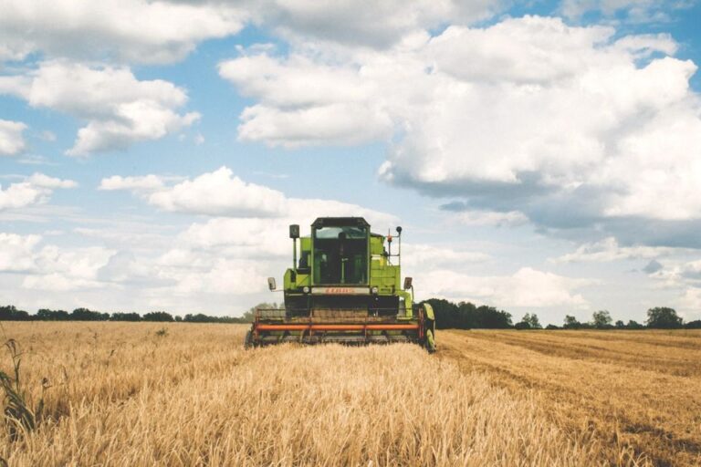 Imposto de renda para produtor rural: como declarar