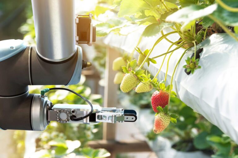 Fazenda vertical: a tecnologia no dia a dia do agronegócio