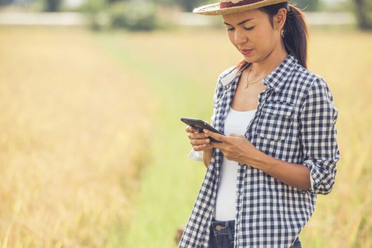 Conexão no campo: quanto custa conectar sua fazenda à internet?