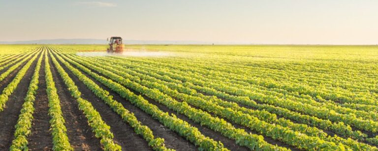 Como o agronegócio contribui com a economia brasileira