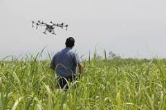 Agricultura digital: o que é e quais são as vantagens