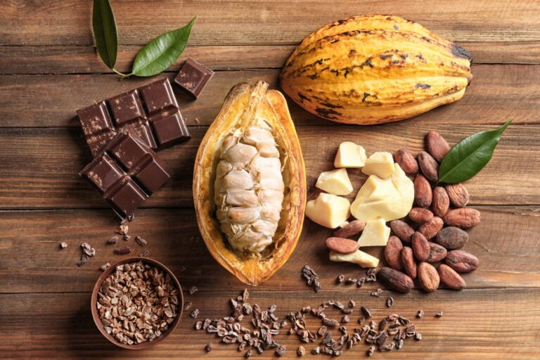 De onde vem o chocolate: conheça mais sobre a cultura do cacau