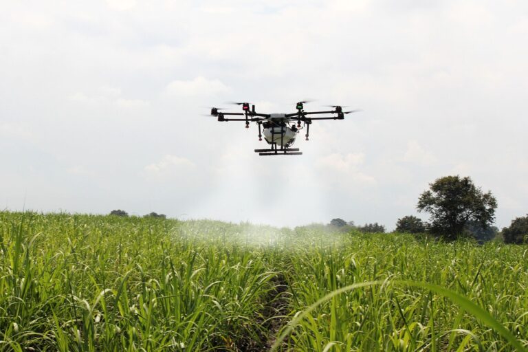 Desafios da automação na produção de alimentos