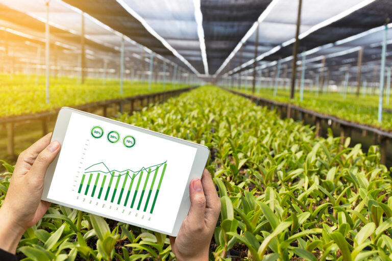 Aplicativos promovem acessibilidade do agronegócio à tecnologia