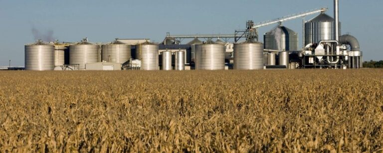 Biomassa: quando a agricultura gera energia