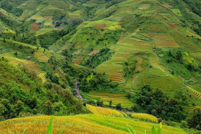 Terra Brasil: entenda o que é e como funciona o projeto