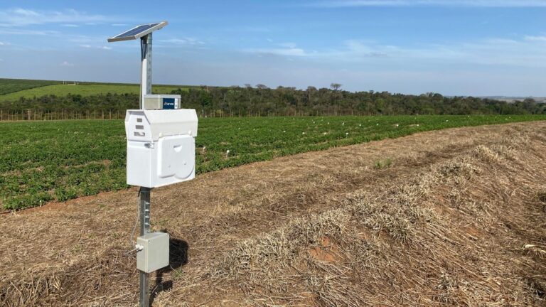 Inteligência artificial aumenta eficiência no manejo de pragas