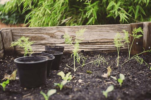 Como unir o agronegócio à sustentabilidade?