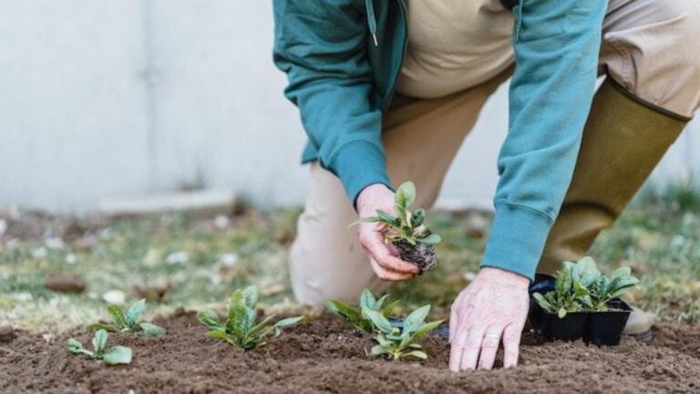 Reciclagem: a importância da reutilização de materiais no agro