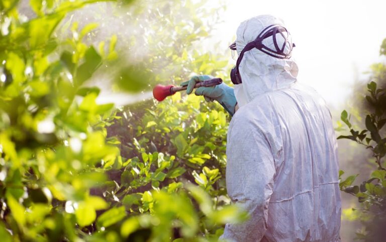Conheça as frutas e as verduras campeãs no uso de agrotóxicos