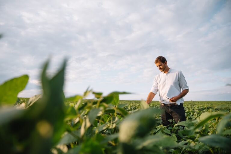 Qual é o papel do engenheiro agrônomo nas fazendas brasileiras?