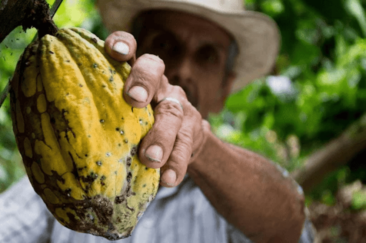 Como é a prática de Agricultura de Subsistência no Brasil