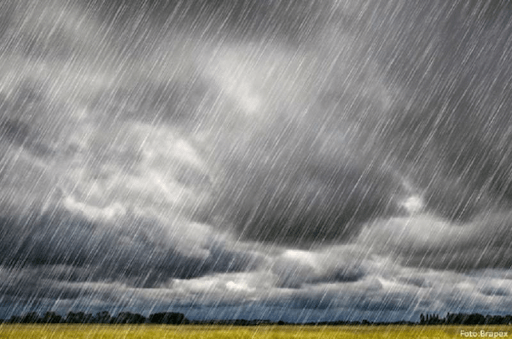 Como proteger as plantações da chuva ácida?