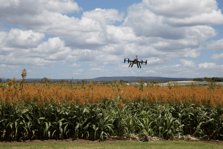 Conectividade na zona rural: impactos da chegada do 5G ao campo