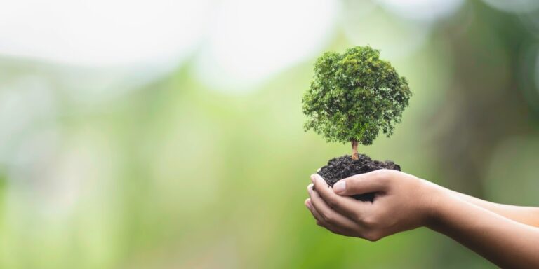 O que é biodiversidade e por que ela é benéfica ao agronegócio?