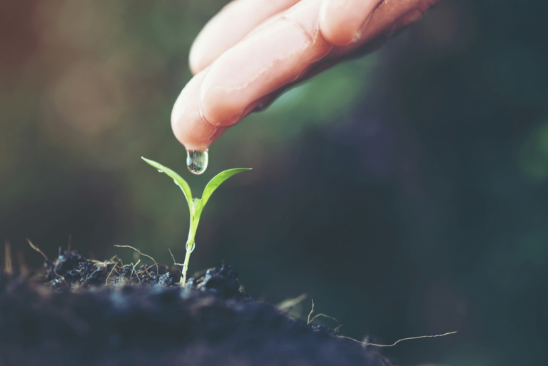 Crise hídrica: entenda como a falta de água afeta o agronegócio