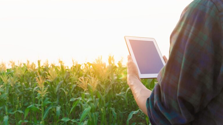 Blockchain na agricultura: como utilizar?