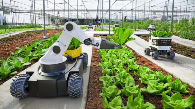 Agro 5.0: desafios e o que esperar dessa inovação