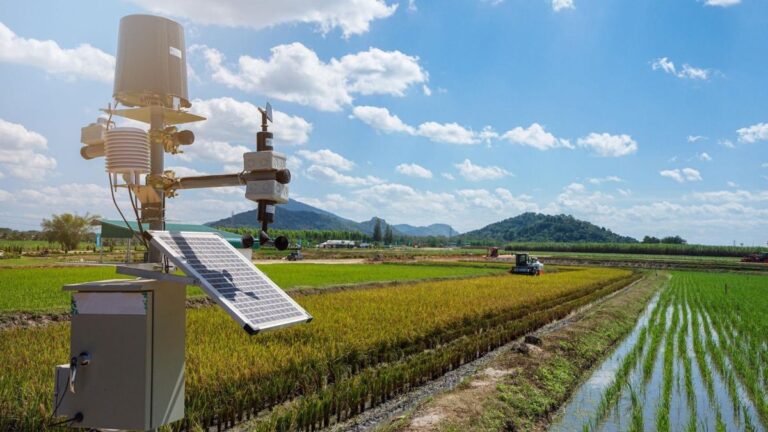 Agro 5.0: como reduzir custos e alavancar os lucros das fazendas?