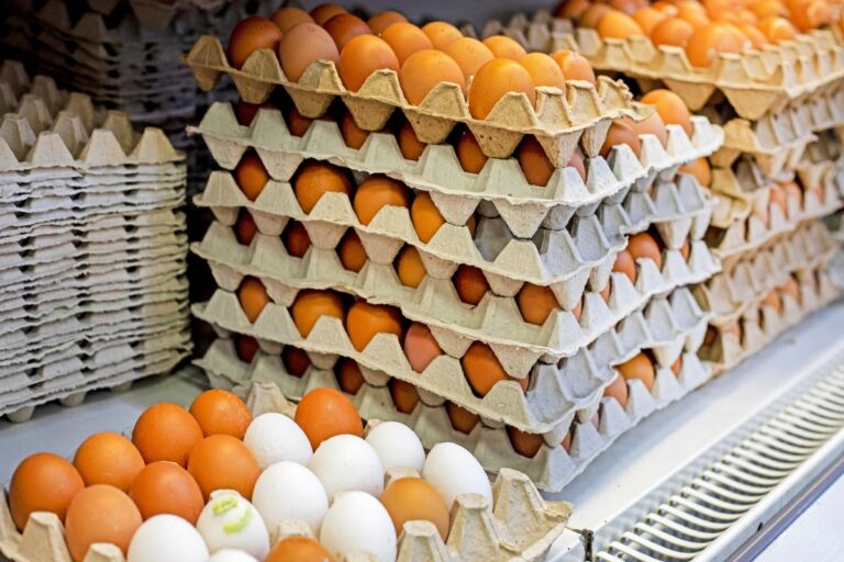 Cuba abre mercado para mais quatro produtos brasileiros