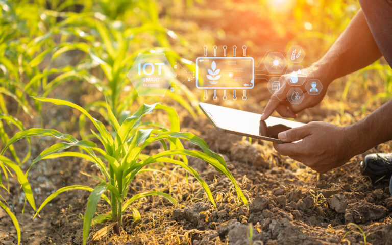 Como big data e machine learning são aplicados no agronegócio?