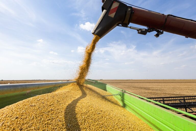 USDA reduz projeções para produção e estoques mundiais de soja