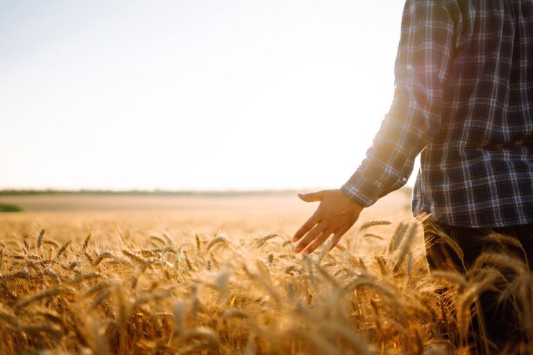 Dia do Agricultor: Agricultores em transformação