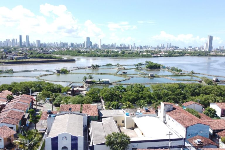 Sancionada lei que cria política nacional de agricultura urbana e periurbana