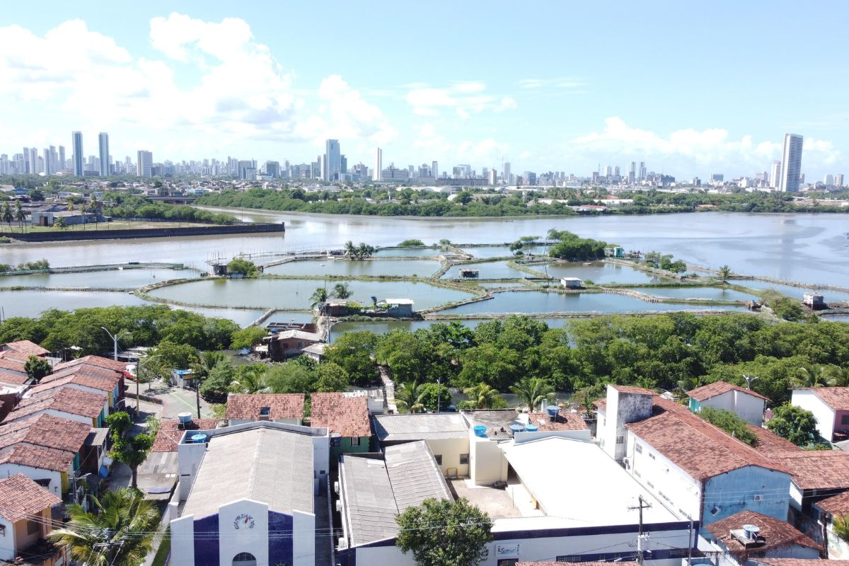 Produção em área não-edificada em tanques produtivos na Ilha de Deus, no Recife. Foto: Acervo Instituto Escolhas/Ecorural, 2023