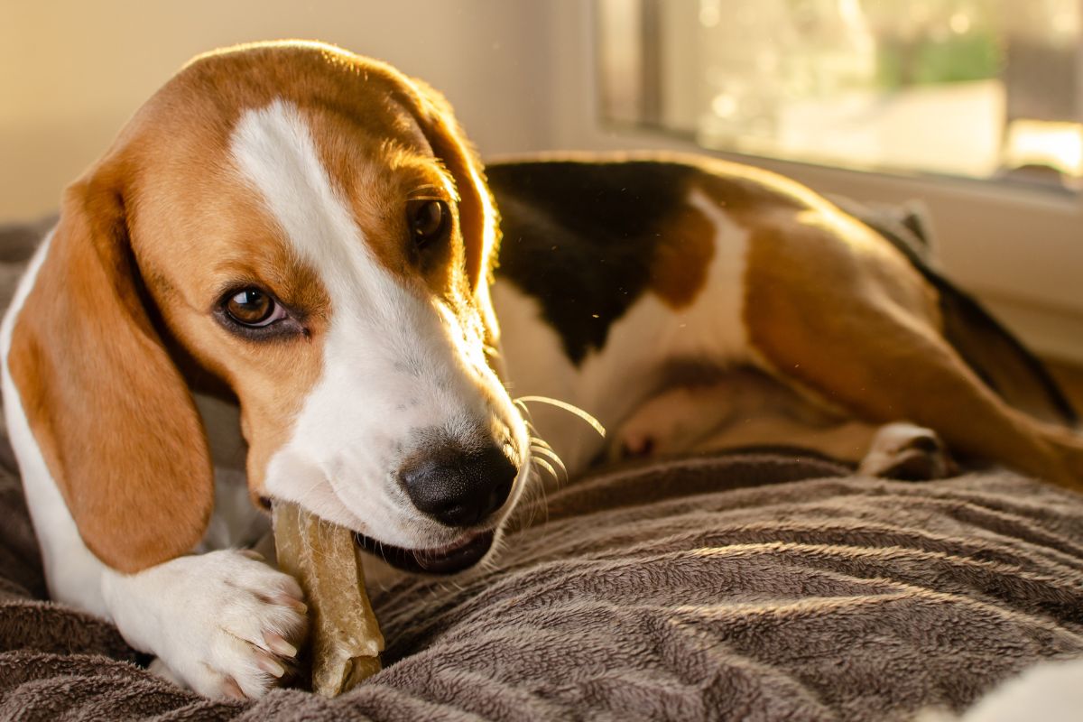 Foto: Adobe Stock