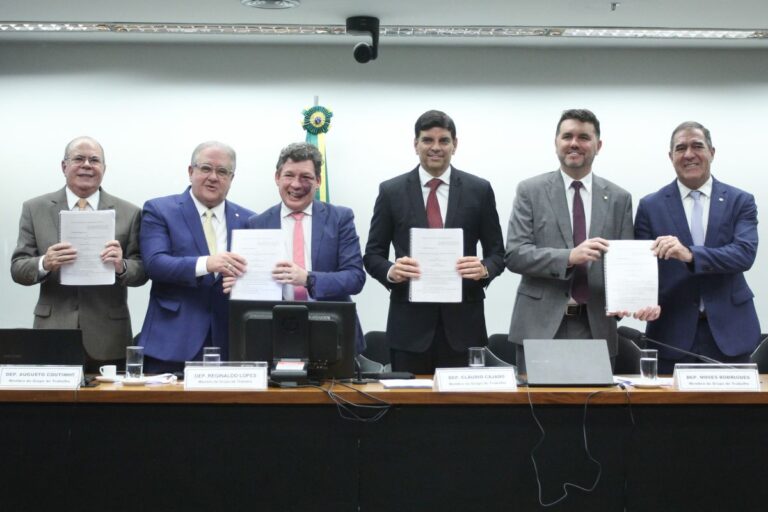 Reforma Tributária: setor de proteínas animal vê possível aumento no preço das carnes