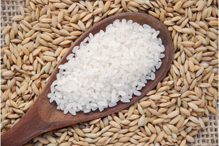 Estoques públicos: Conab detalha contrato de opção de venda de arroz