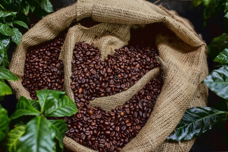 Café robusta bate recorde e preço sobe quase 12% no mês