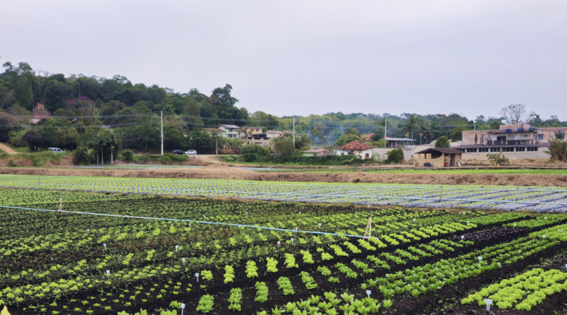 Começa o “censo” do agro paulista