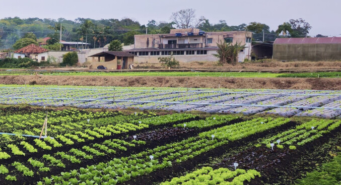 Começa o “censo” do agro paulista