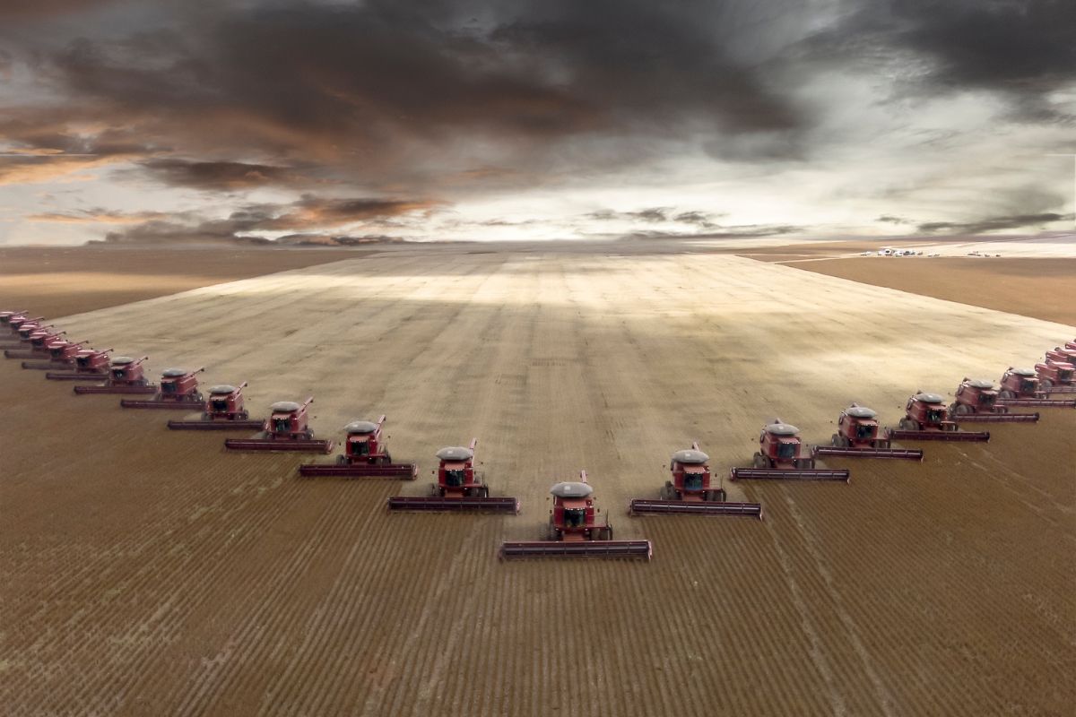Foto: Adobe Stock