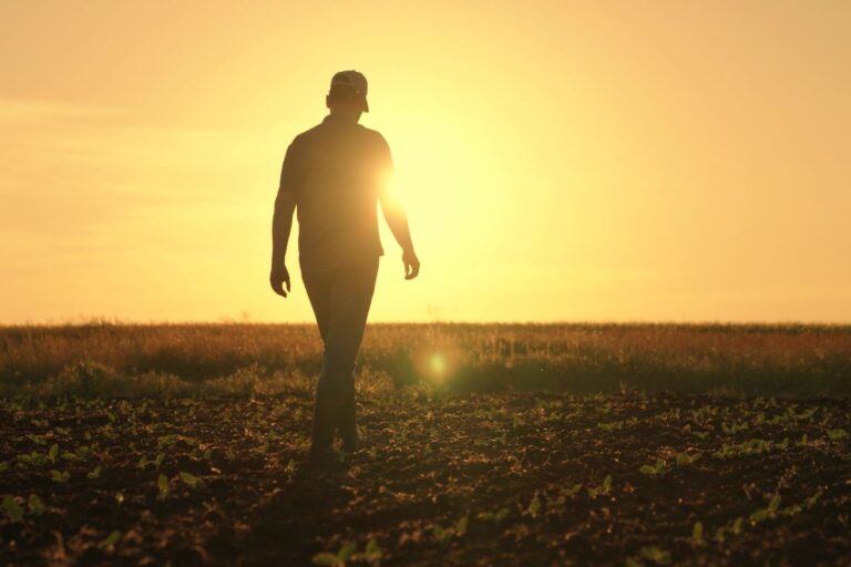 Dívidas rurais: 7 em cada 100 agricultores ficaram inadimplentes no primeiro trimestre de 2024