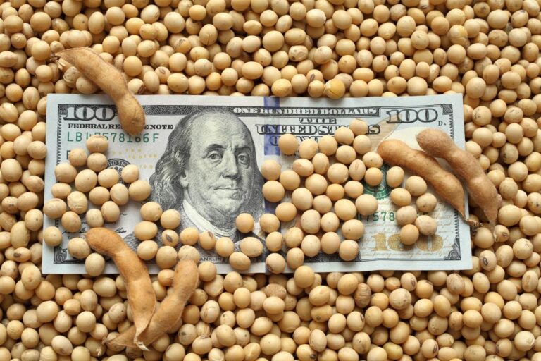 Dólar no maior valor da história desafia o agro brasileiro