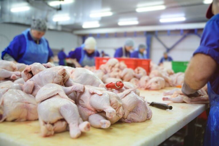 Exportações de carne de frango de todo o Brasil são suspensas para a China e União Europeia