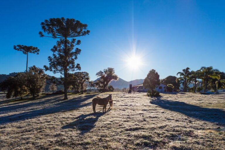 Nova frente fria leva chuva, geada e baixas temperaturas à região Sul