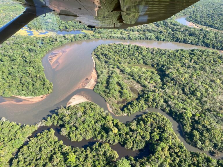 Pantanal: o coletivo em prol desta joia brasileira