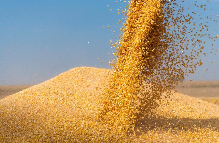 USDA em Brasília amplia estimativa de safra de soja do Brasil a 165 milhões de t