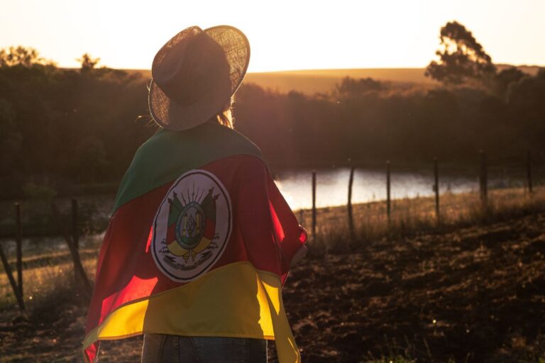 Dia do Agricultor: Produtores do Rio Grande do Sul recomeçam do zero