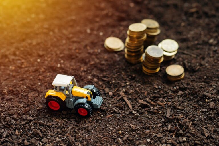 O que é margem bruta e qual é sua importância na atividade rural?