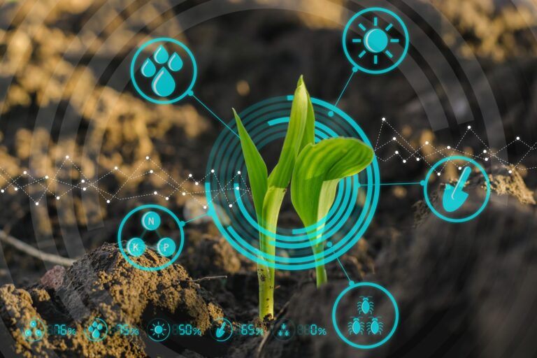 Realidade aumentada e virtual: vantagens para o agronegócio