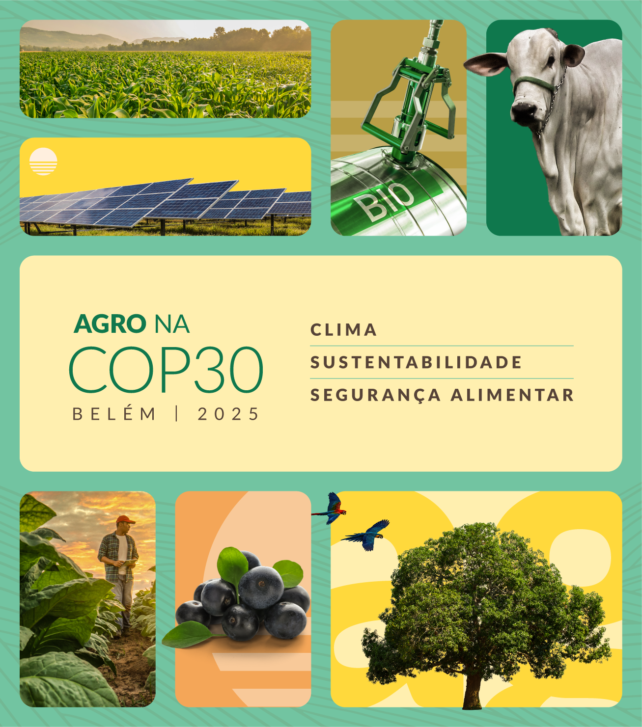 Agro Estadão