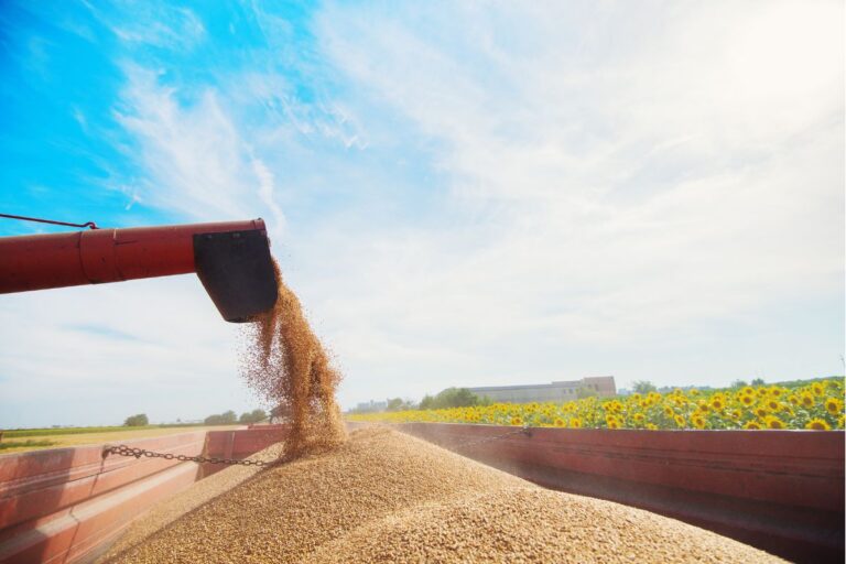 Junho termina com comercialização de commodities impactada por variação cambial