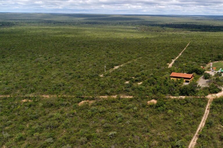Dia do Agricultor: Brasil dá lições de sustentabilidade na agricultura